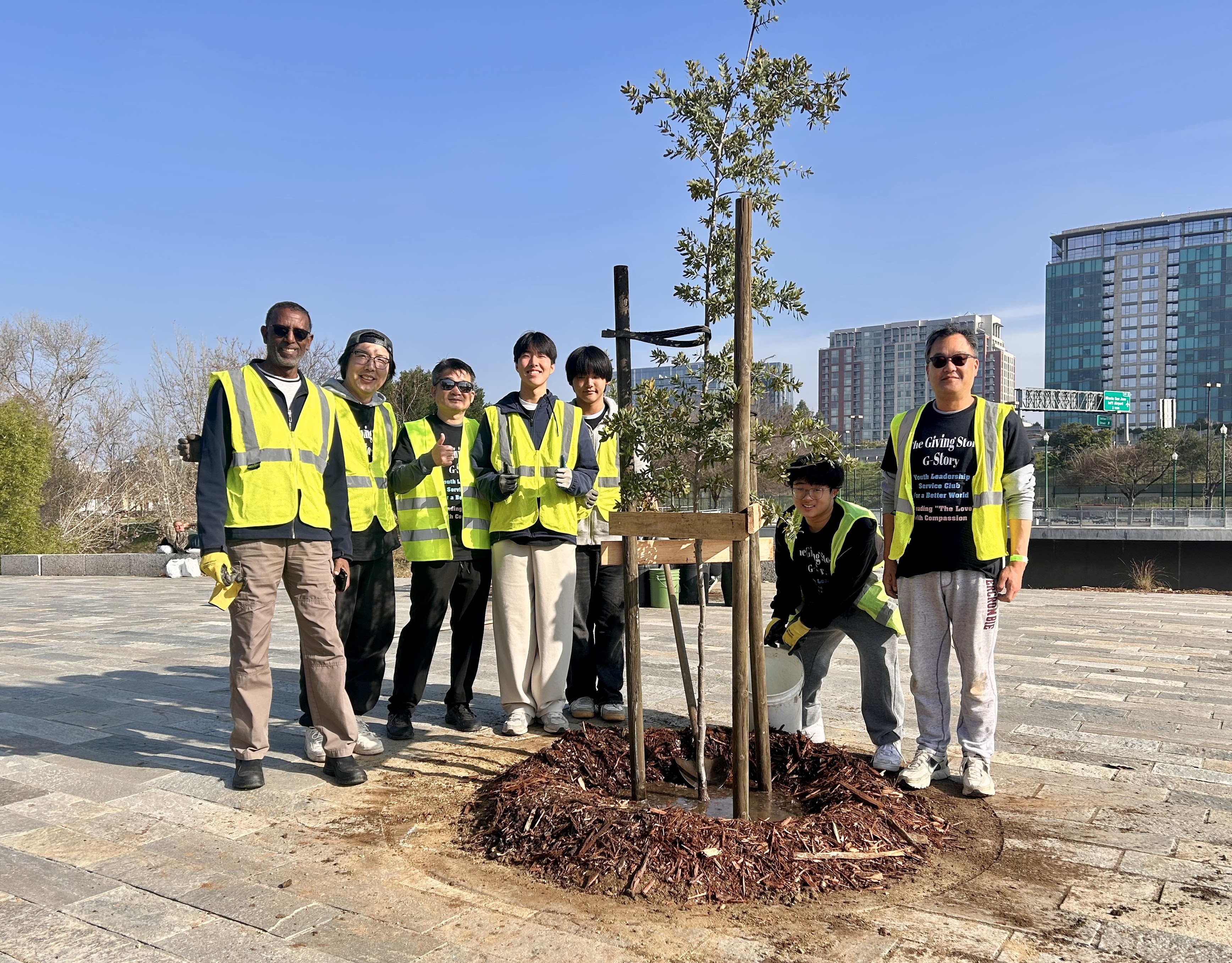Tree Planting